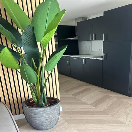 Palette De-steppe Family * Ulicoten