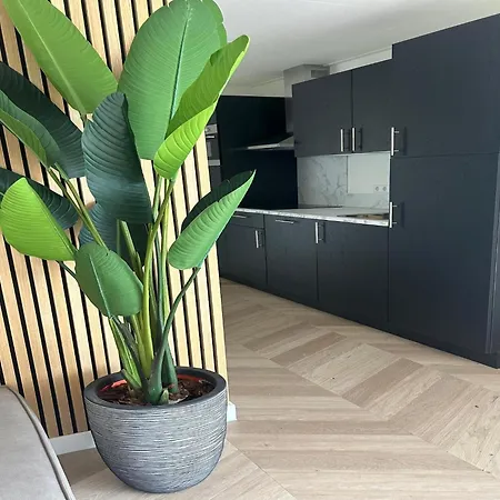 Palette De-steppe Family Casa vacanze Ulicoten