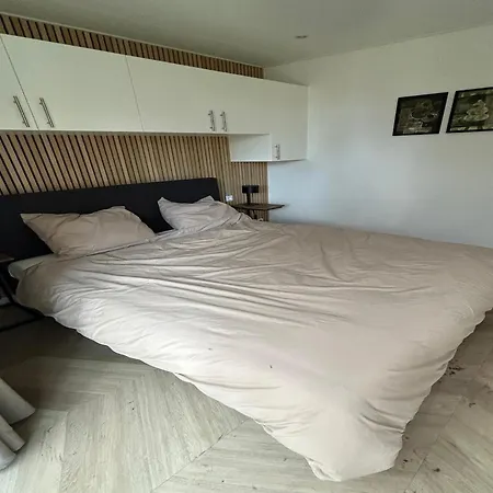 Palette De-steppe Family