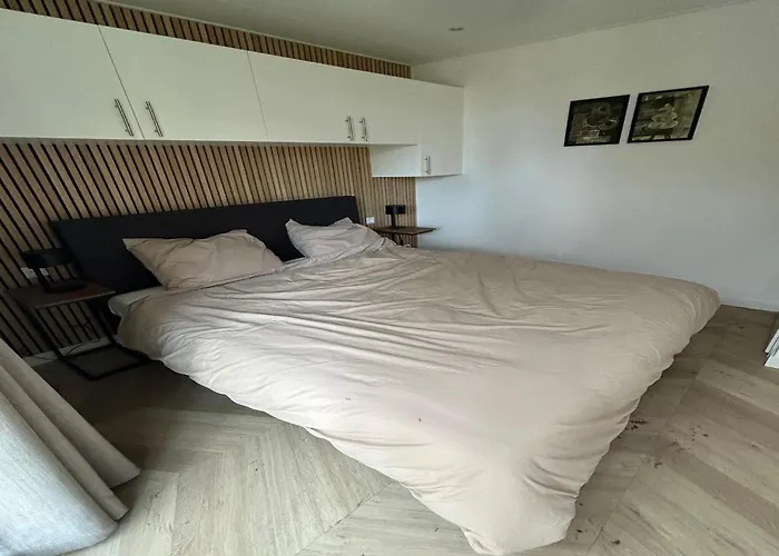 Palette De-steppe Family *